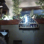 Profile picture of woodyweeds